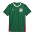 Palmeiras Hjemmedrakt 2026-27 Korte ermer